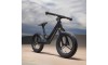 GIANT Pre rCarbon 捷安特碳纖維滑步車 